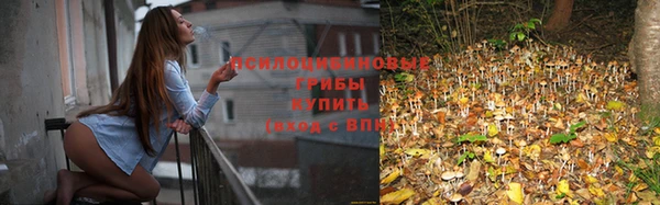 мяу мяу кристалл Богданович