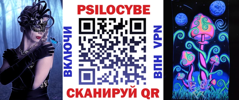 где купить   Горно-Алтайск  Галлюциногенные грибы Magic Shrooms 