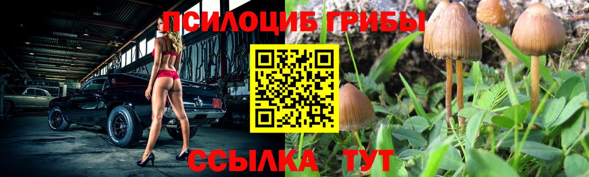 Псилоцибиновые грибы MAGIC MUSHROOMS Горно-Алтайск