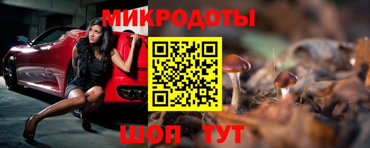 Горно-Алтайск  Галлюциногенные грибы MAGIC MUSHROOMS  Псилоцибиновые грибы прущие грибы  Вход с VPN 